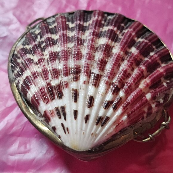 Seashell Trinket Box with Brass Trim. Used as a Pillbox, Perfume Sachet or coins - Picture 3 of 6